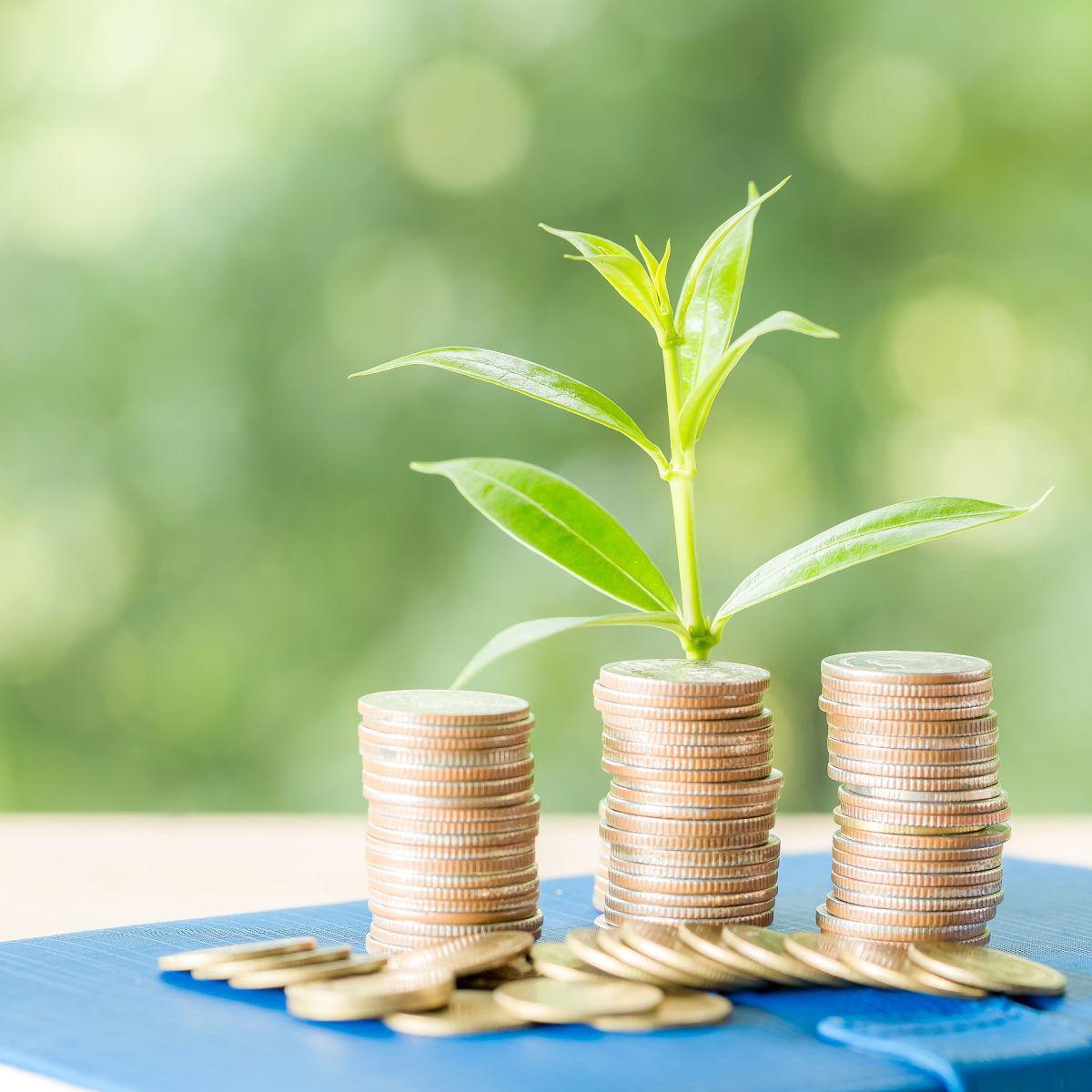 Quarta emissione del BTP Valore opportunita di investimento per i piccoli risparmiatori FE